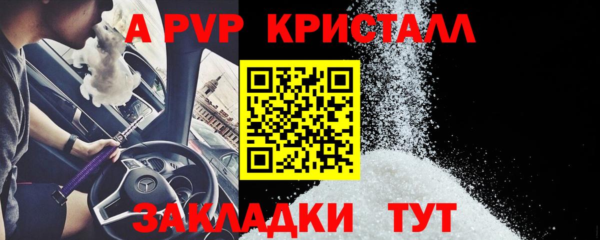 A-PVP СК Долгопрудный