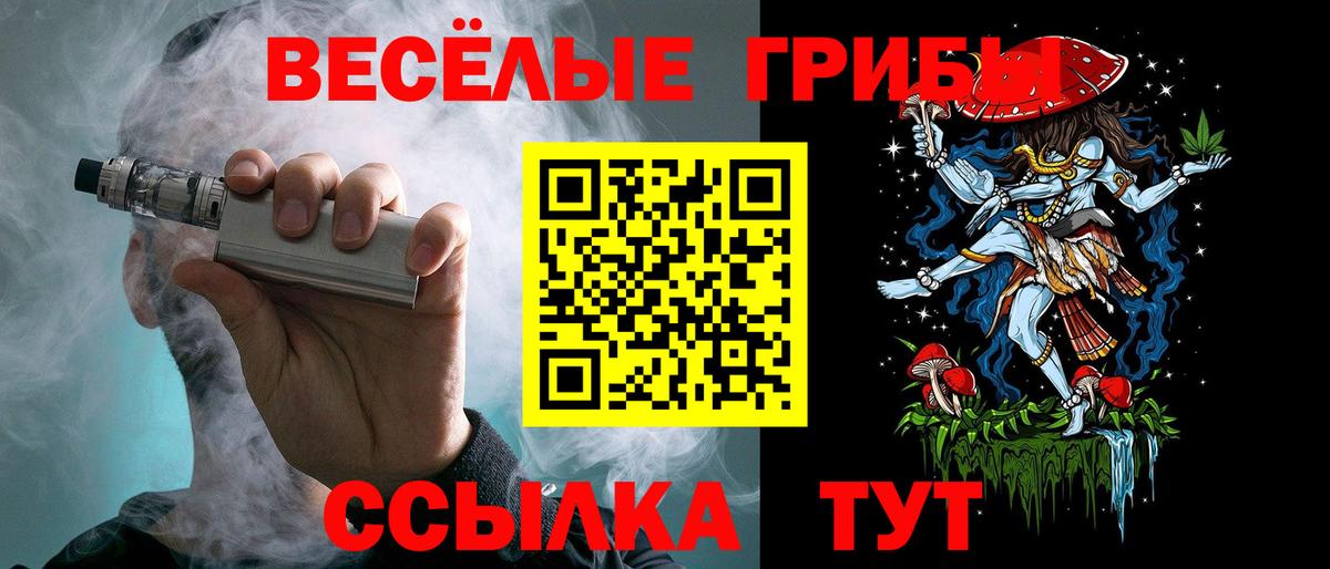 Псилоцибиновые грибы Psilocybine cubensis Долгопрудный